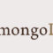 cf-mongodb-small-gray-2