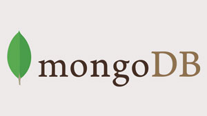 cf-mongodb-small-gray-2